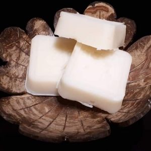 Coconut Shell Soap Dish